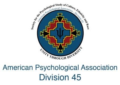 apa division 45